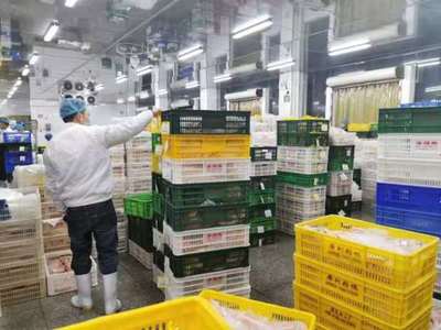马上行动!广东农产品采购商联盟投身&ldquo;保供稳价安心&rdquo;战&ldquo;疫&rdquo;中